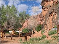 Supai Village