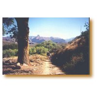 Picture of Bill Huggins hiking up the trail.